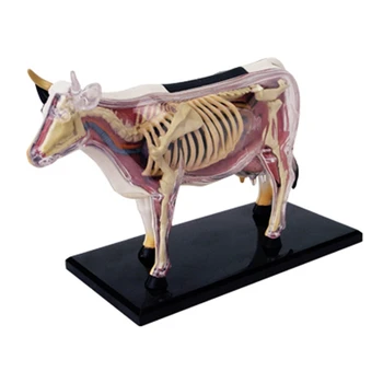 Анатомическая модель органа животного 4D Интеллект Коровы, Игрушка для сборки, Обучающая Анатомическая модель, Научно-популярная техника DIY