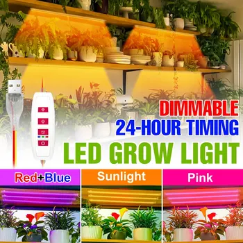 Фитолампа LED Grow Light Теплица Полный спектр светодиодных растений Лампа для рассады Семена цветов Лампы для выращивания в помещении USB